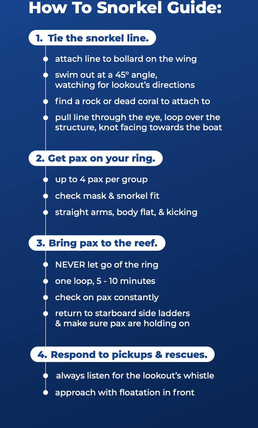 How to snorkel guide — quick reference checklist